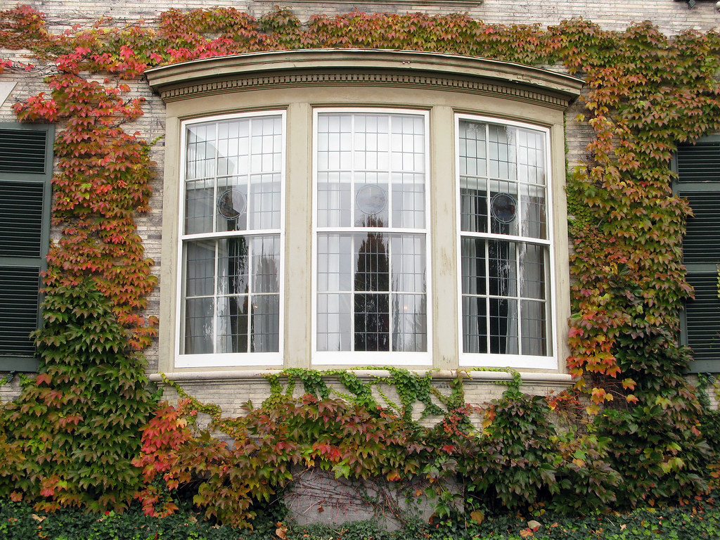 top-bay-window-replacement-in-north-miami-beach-fl